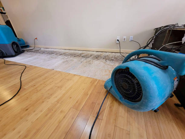 Professional Flood Damage Cleanup technician working in Lansing, KS